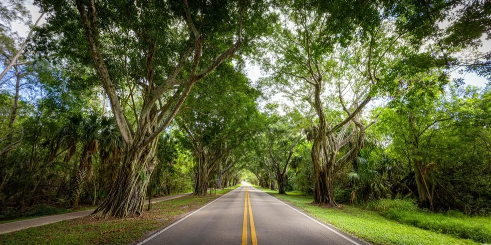 Things to Do in Stuart and Jensen Beach | Frommer's